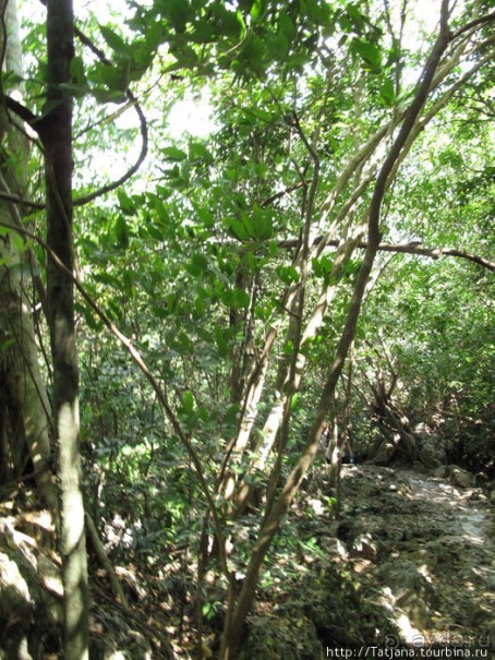 Национальный парк Сам Рой Йот - «Гора 300 вершин»