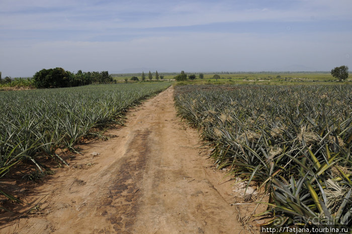 Национальный парк Сам Рой Йот - «Гора 300 вершин»