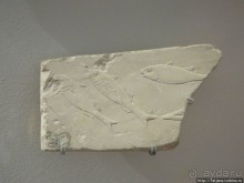 Встреча с Лувром