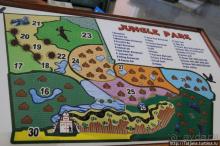 Альбом отзыва "Самый большой отель — аквапарк в Хургаде "JUNGLE PARK""