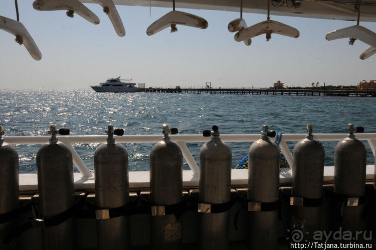 Альбом отзыва "Самый большой отель — аквапарк в Хургаде "JUNGLE PARK""
