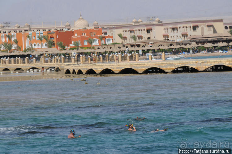 Самый большой отель — аквапарк в Хургаде "JUNGLE PARK"