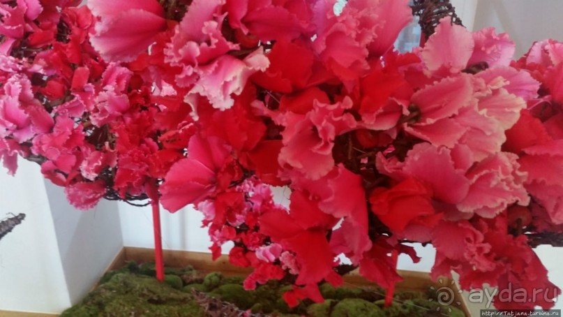 Фестиваль цветов Fleur Amor