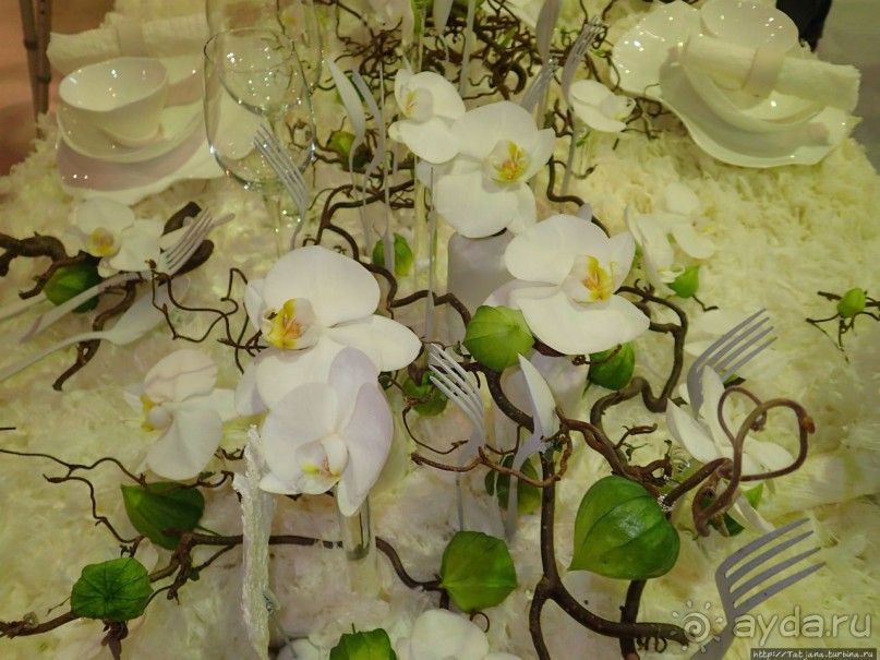 Фестиваль цветов Fleur Amor