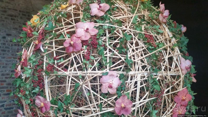 Фестиваль цветов Fleur Amor