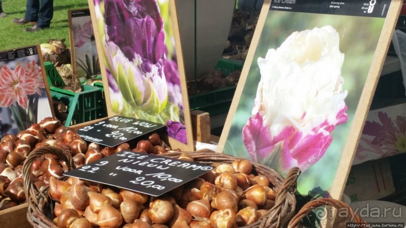 Фестиваль цветов Fleur Amor