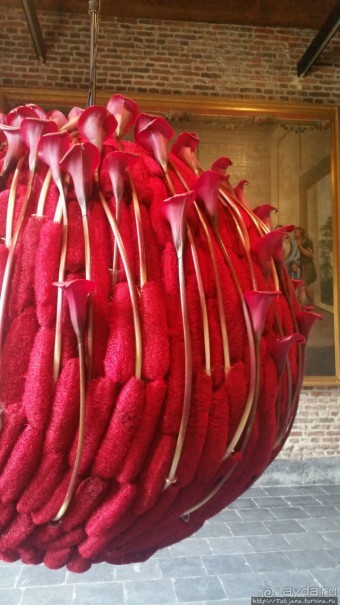 Фестиваль цветов Fleur Amor