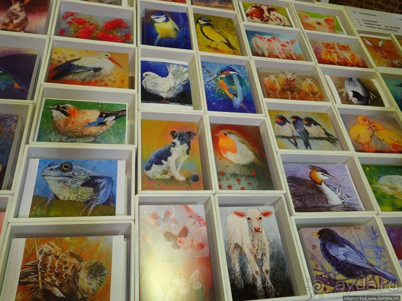 Фестиваль цветов Fleur Amor