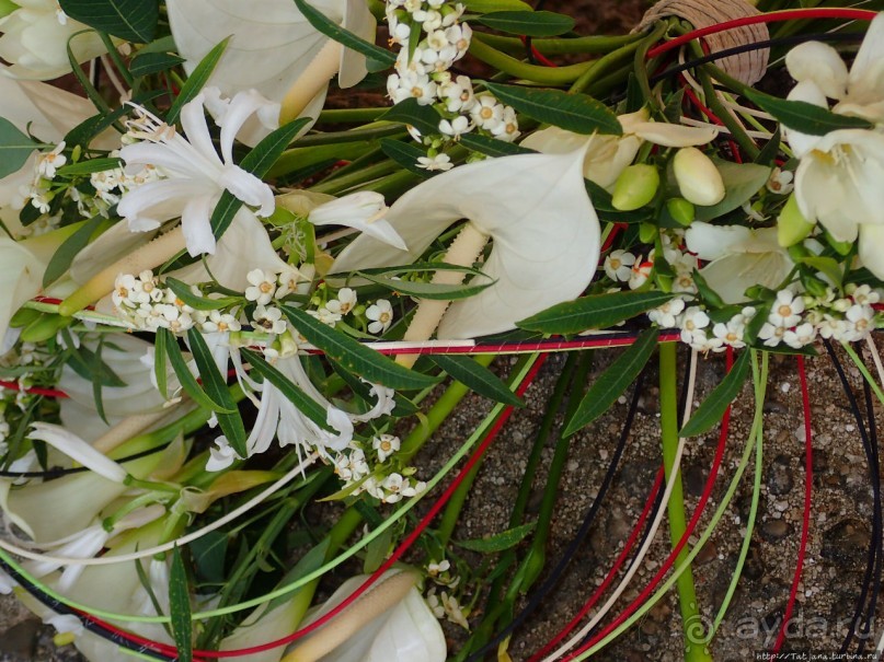 Фестиваль цветов Fleur Amor