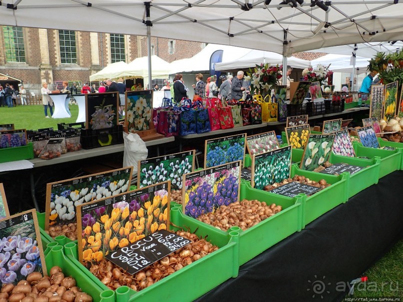 Фестиваль цветов Fleur Amor