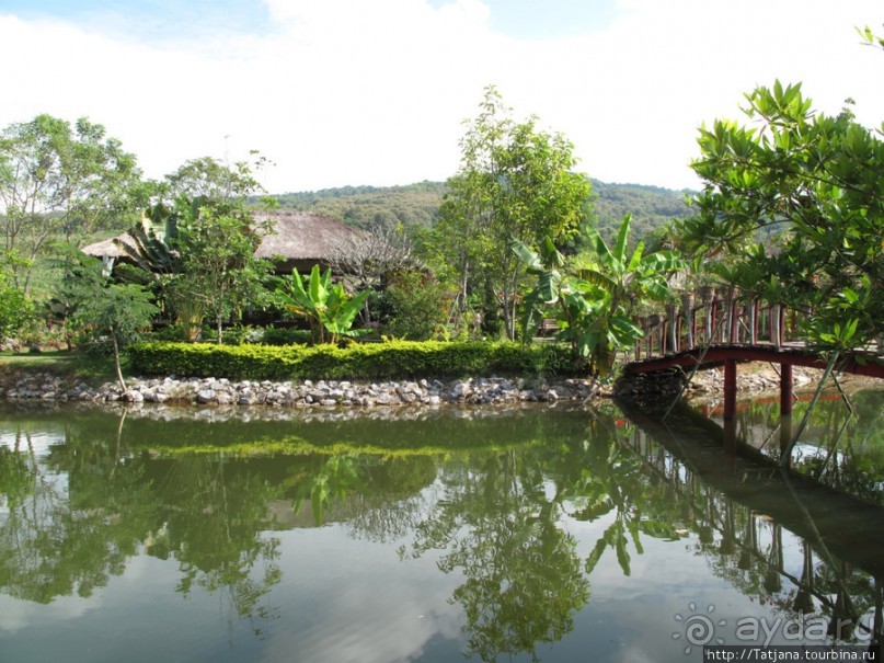 Там все очень вкусно !