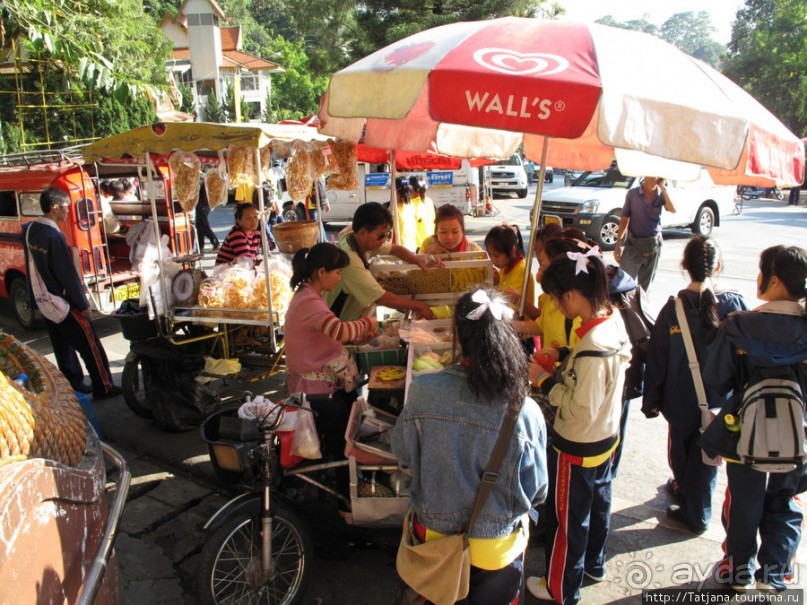 Там все очень вкусно !