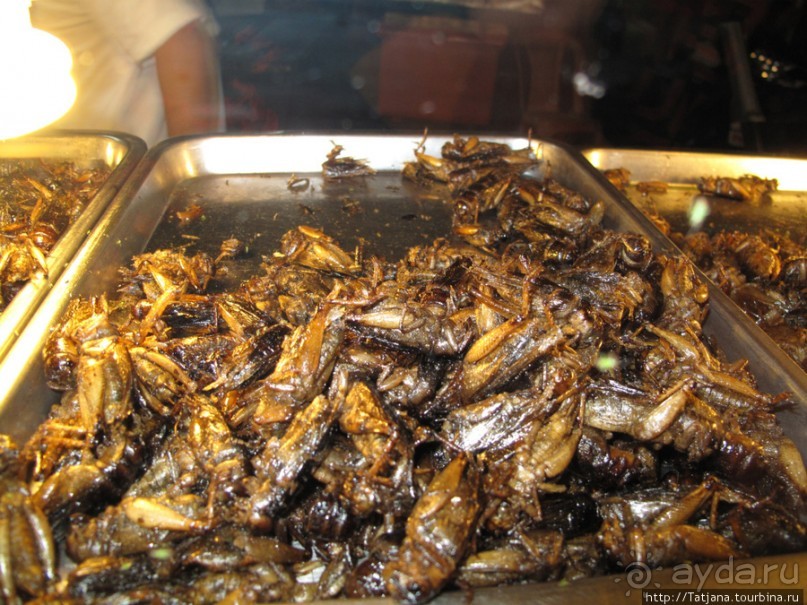 Там все очень вкусно !