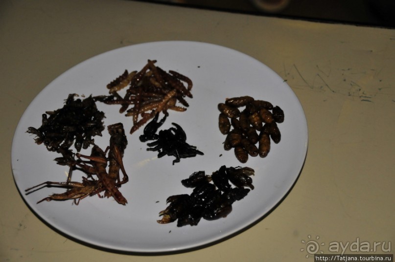 Там все очень вкусно !