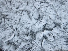 Наконец - то замерз "Уточкин" пруд... и все идут на каток