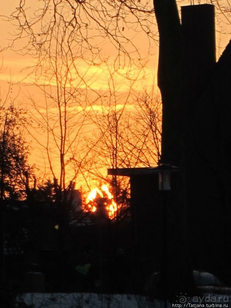 Наконец - то замерз "Уточкин" пруд... и все идут на каток