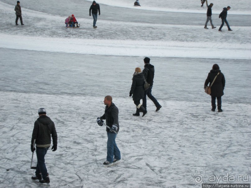 Наконец - то замерз "Уточкин" пруд... и все идут на каток