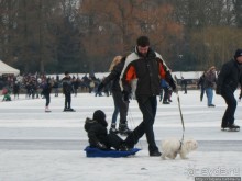 Наконец - то замерз "Уточкин" пруд... и все идут на каток