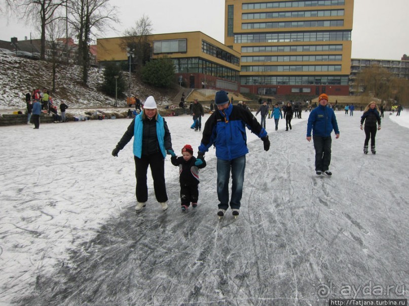 Наконец - то замерз "Уточкин" пруд... и все идут на каток