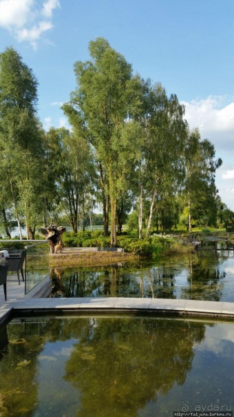 Комплекс Отель и Сауна Bussloo Spa