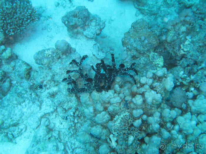 А вы бывали в Хургаде?