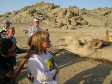 А вы бывали в Хургаде?