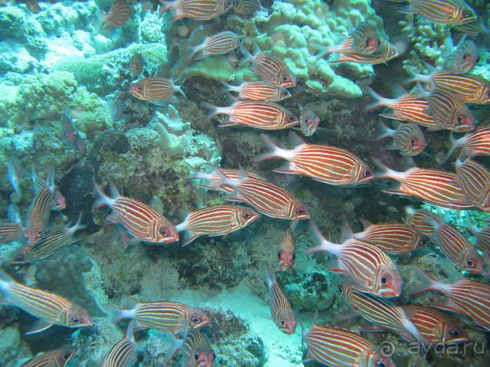 А вы бывали в Хургаде?
