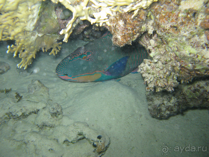 А вы бывали в Хургаде?