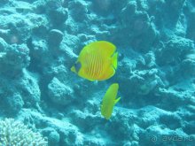 А вы бывали в Хургаде?