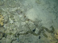 А вы бывали в Хургаде?