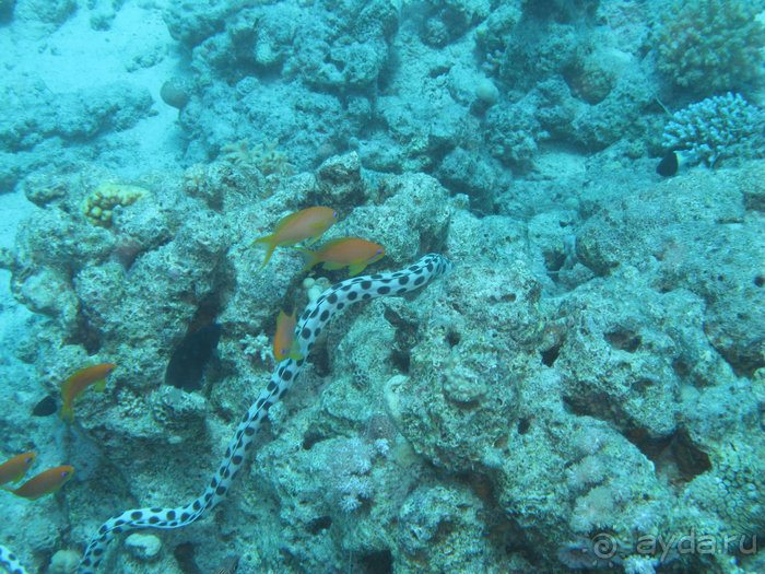 А вы бывали в Хургаде?