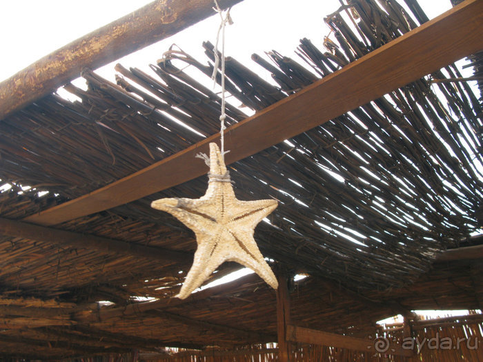 А вы бывали в Хургаде?