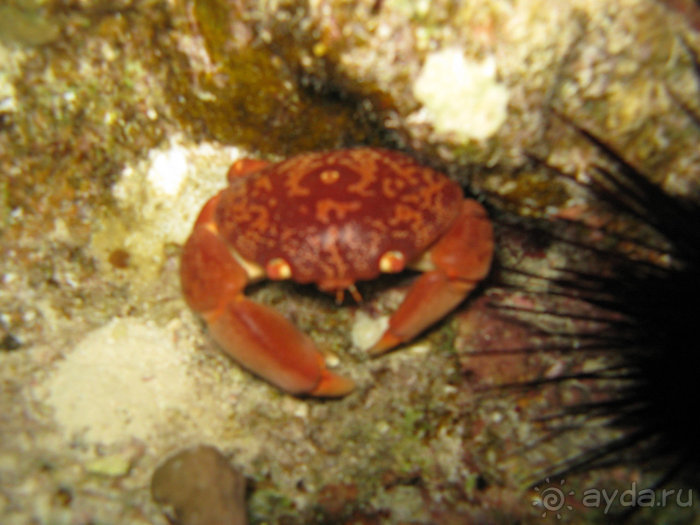 А вы бывали в Хургаде?