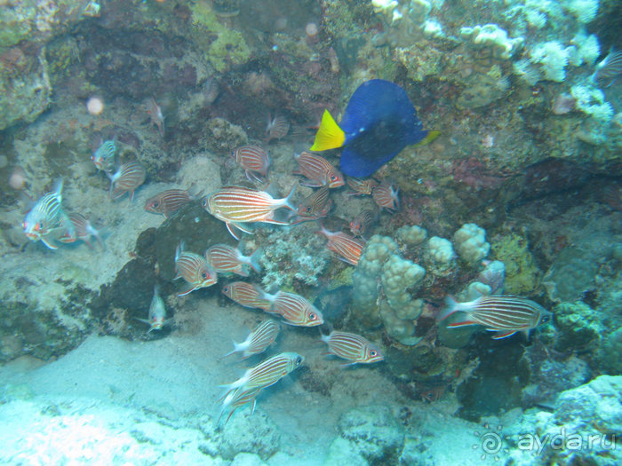 А вы бывали в Хургаде?