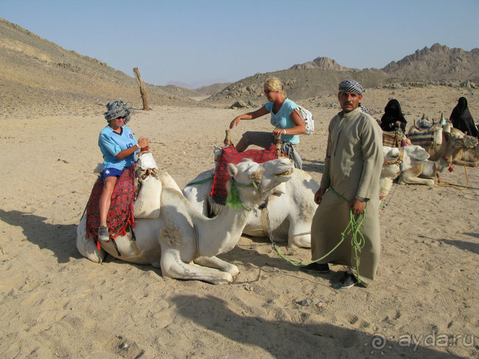 А вы бывали в Хургаде?