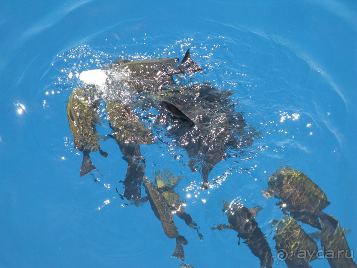 А вы бывали в Хургаде?