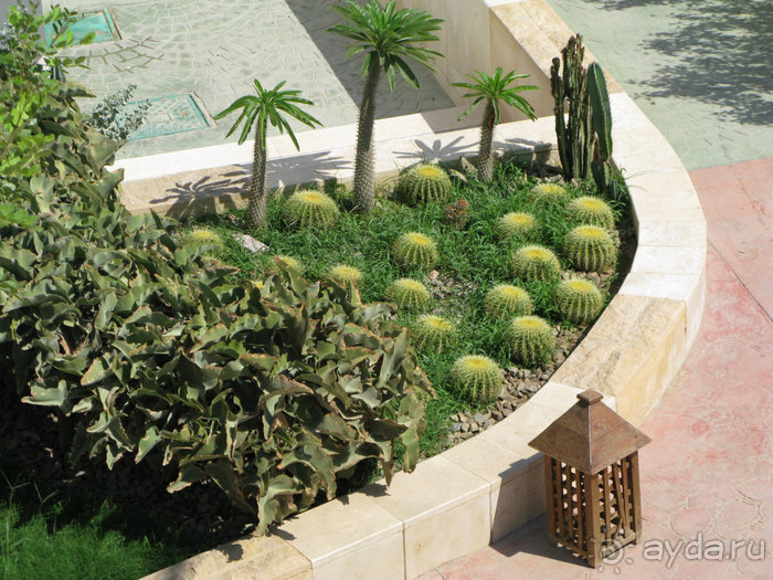 А вы бывали в Хургаде?