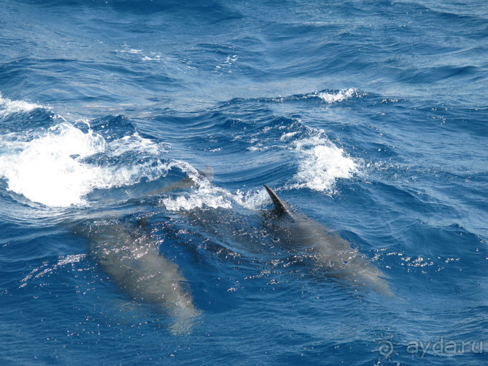 А вы бывали в Хургаде?