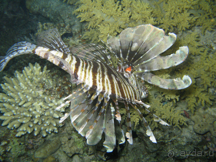 А вы бывали в Хургаде?