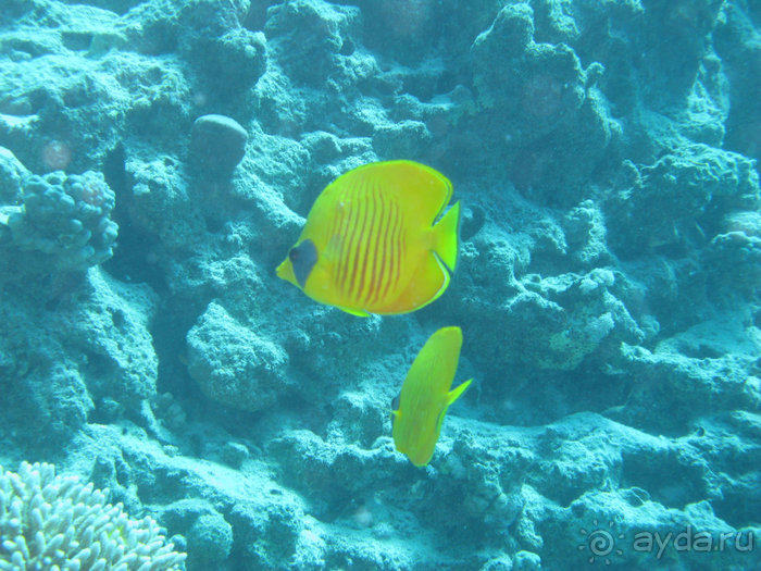 А вы бывали в Хургаде?