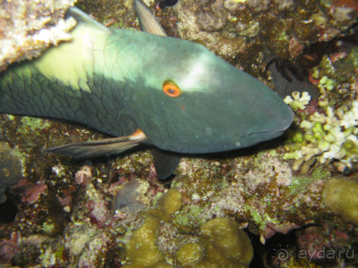 А вы бывали в Хургаде?