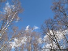 Волшебный родник в парке "Покр.-Стрешнево"