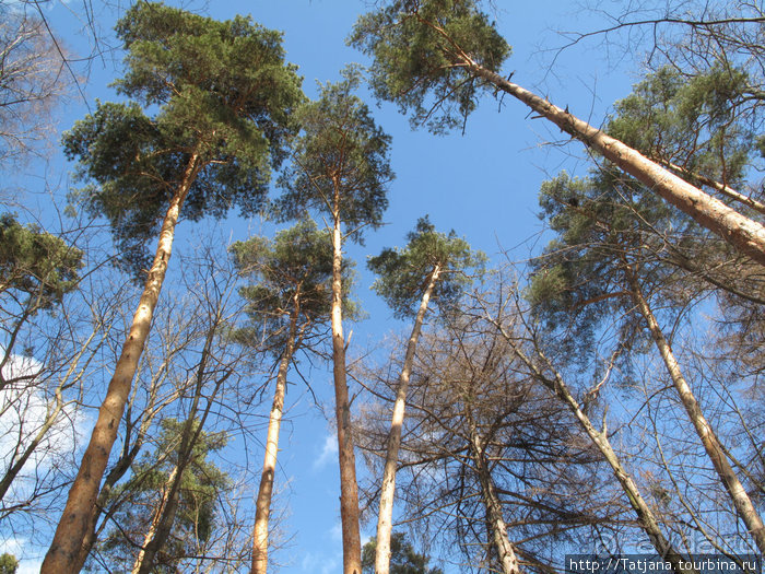 Волшебный родник в парке "Покр.-Стрешнево"