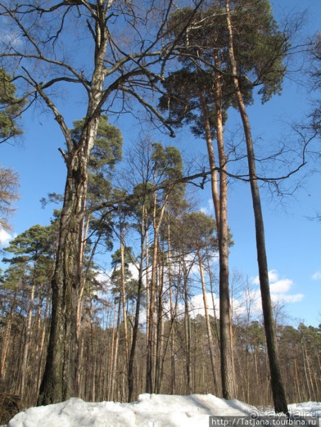 Волшебный родник в парке "Покр.-Стрешнево"