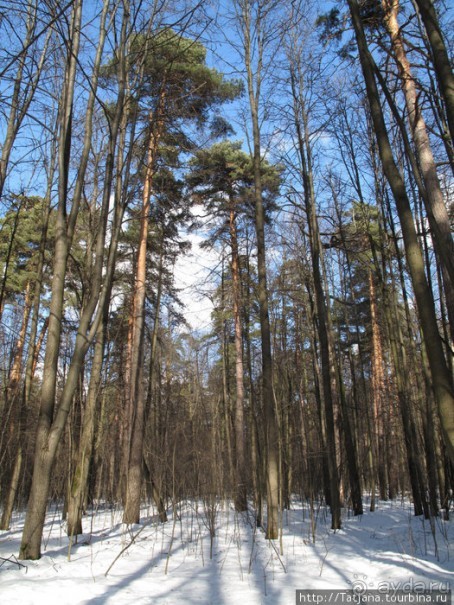 Волшебный родник в парке "Покр.-Стрешнево"