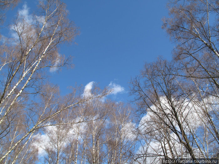 Волшебный родник в парке "Покр.-Стрешнево"