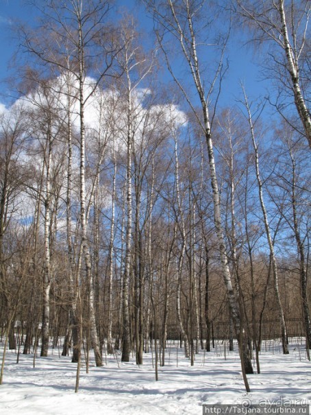 Волшебный родник в парке "Покр.-Стрешнево"