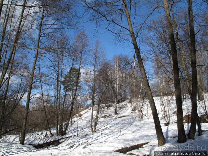 Волшебный родник в парке "Покр.-Стрешнево"