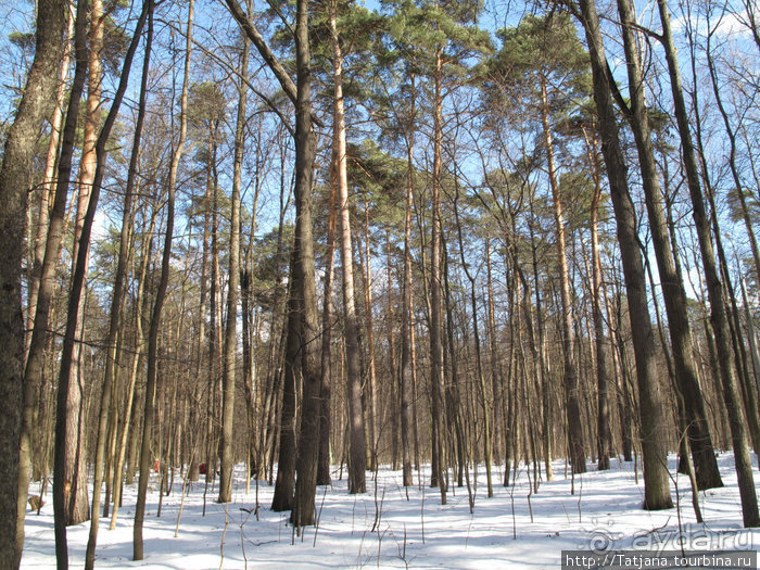 Волшебный родник в парке "Покр.-Стрешнево"