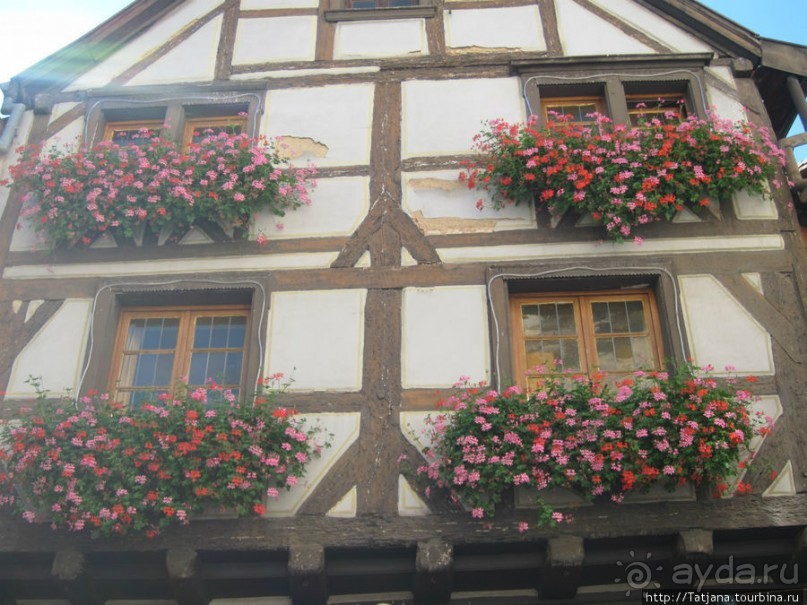 Альбом отзыва "Сказочный маршрут средневекового города."